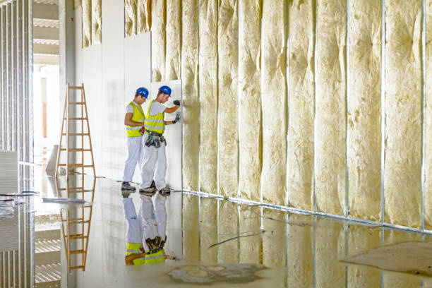 Best Eco-Friendly Insulation in Mullica Hill, NJ